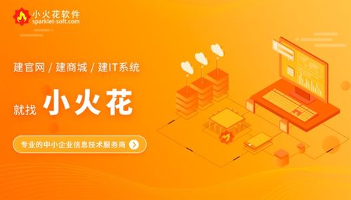 軟件開發(fā)是專業(yè)的事情 上一品威客網(wǎng)找專業(yè)服務(wù)商