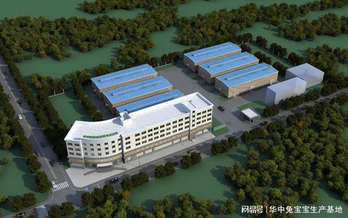 華中定制家具工廠oem招商批發(fā)代加工 華中兔寶寶生產(chǎn)基地